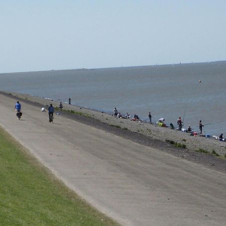 Bed And Breakfast De Zeehoeve Harlingen Exterior foto