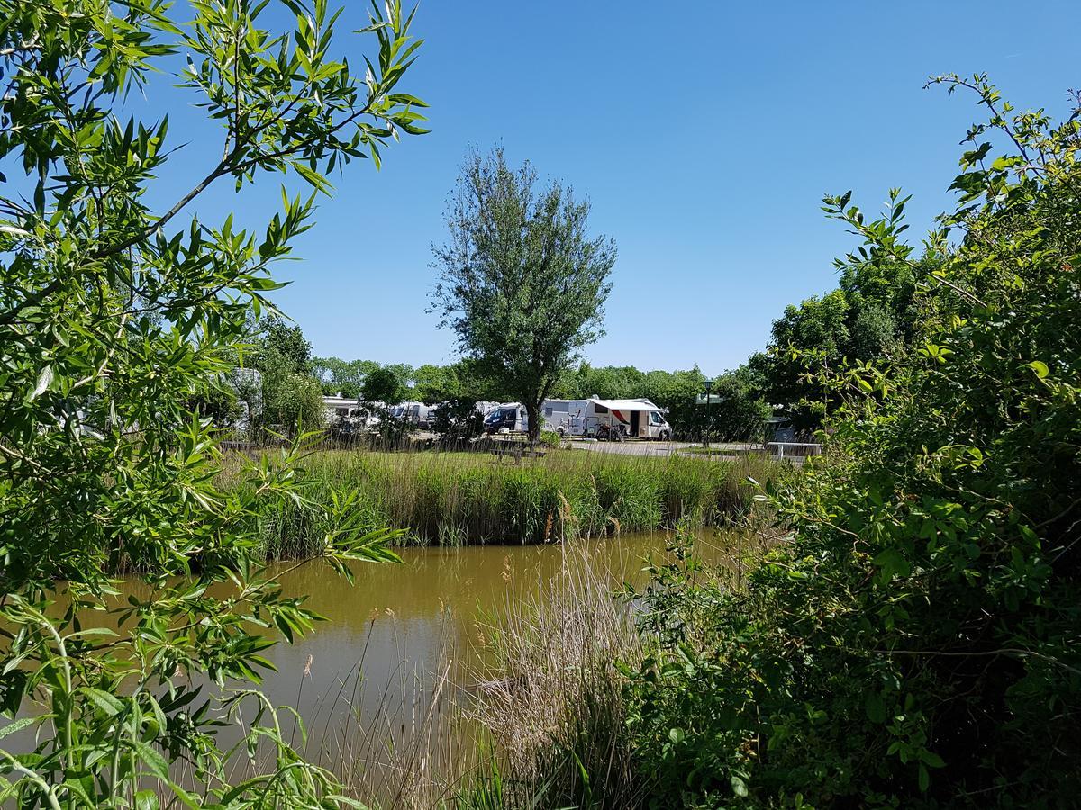 Bed And Breakfast De Zeehoeve Harlingen Exterior foto